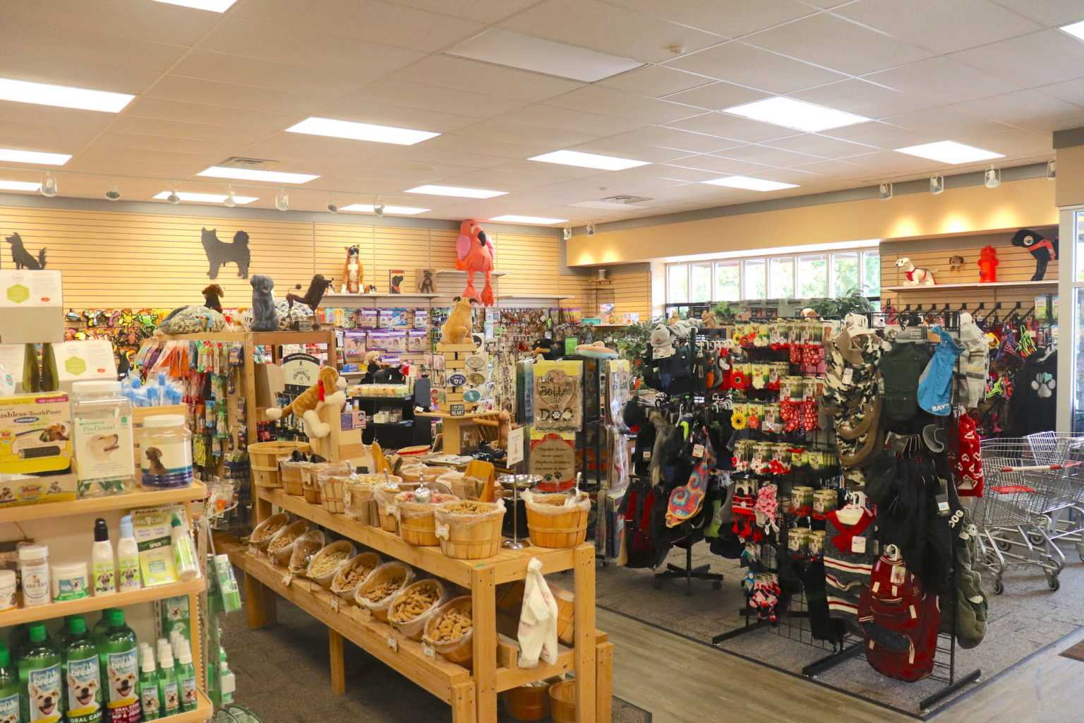 Reptile Pet Store | Pidder Padder Paw's Pet Supply Store