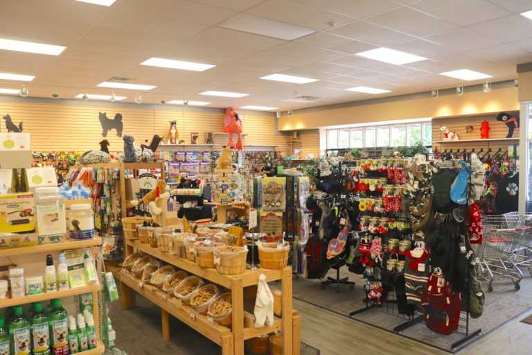 Reptile Pet Store Pidder Padder Paw's Pet Supply Store