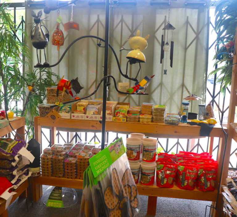 Outdoor and Indoor Bird Pet Store Pidder Padder Paws